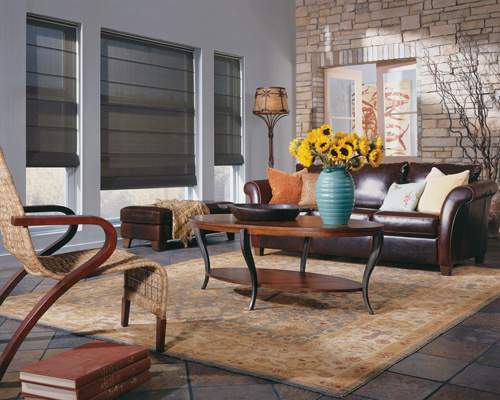 Screen Shades living rooms 